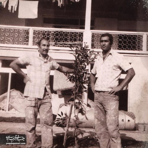 جوانی، نقاشی ساختمان - 1356- 38 سالگی